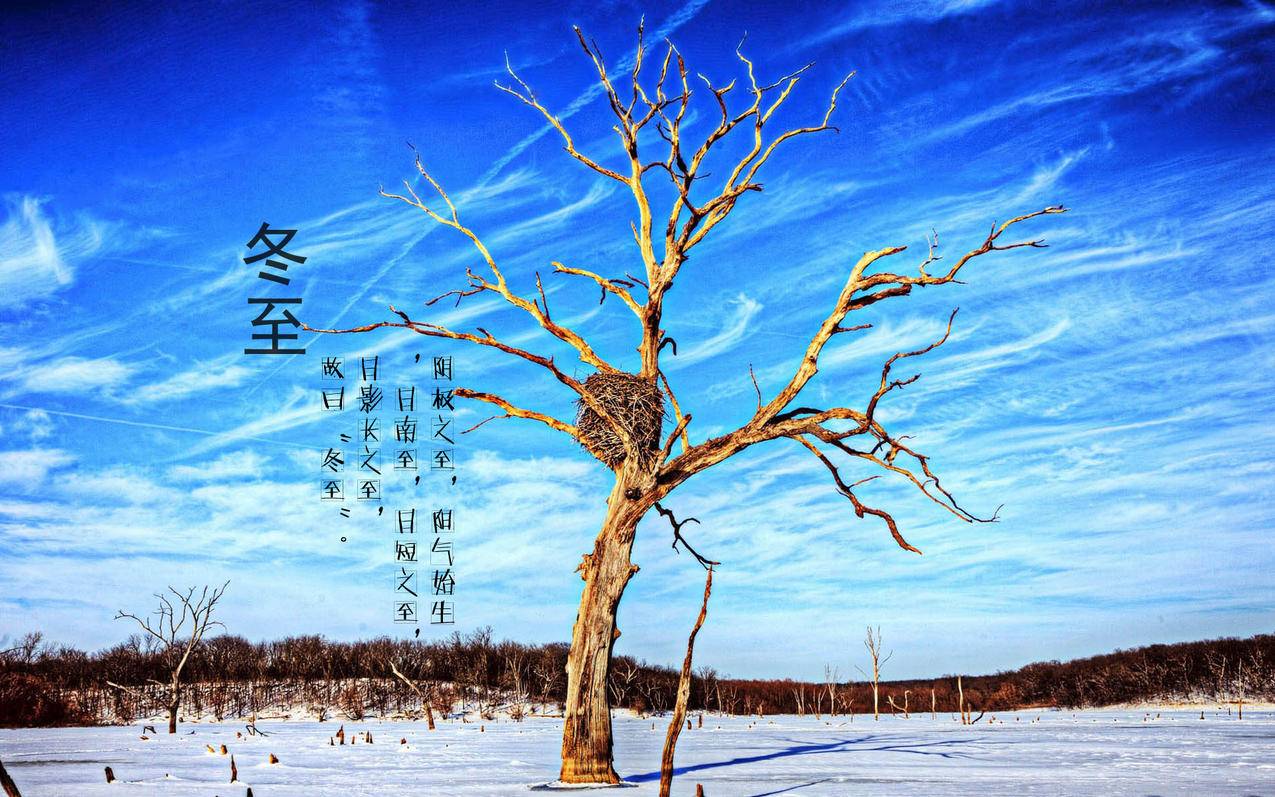 网红商城